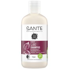 Bio Glanz Shampoo Birkenblatt 250ml - für normales und glanzloses Haar - zarter Schaum - natürlicher Kokosduft von Sante Naturkosmetik